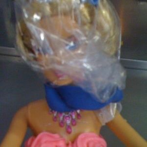 Meet your Posher, Barbie